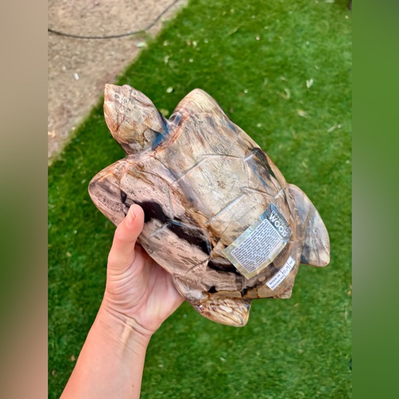 Other - Petrified wood Turtle from Indonesia